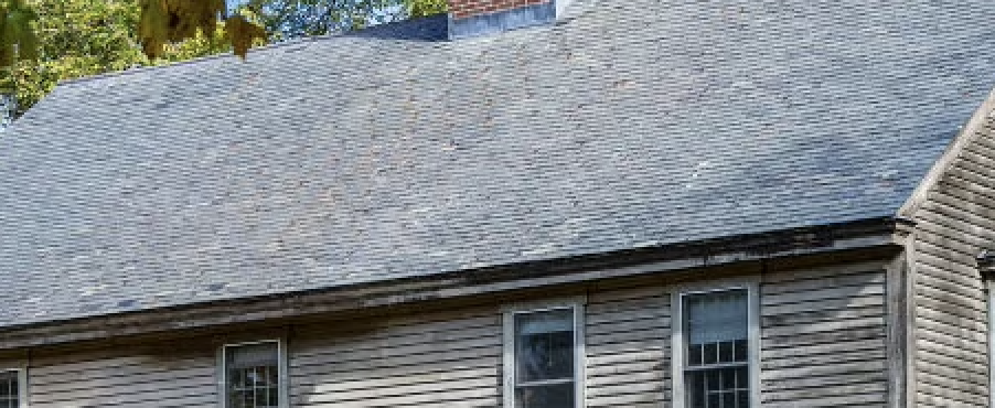 A zoomed in image of the roof on the main image.